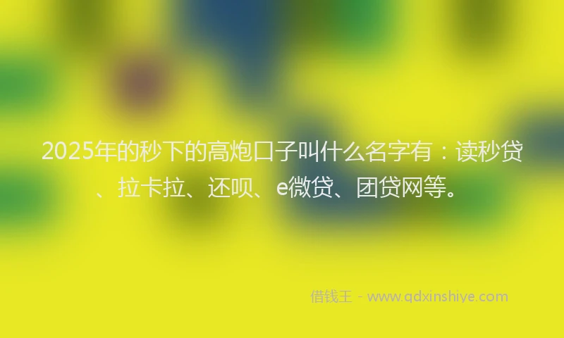 2025年的秒下的高炮口子叫什么名字有：读秒贷、拉卡拉、还呗、e微贷、团贷网等。