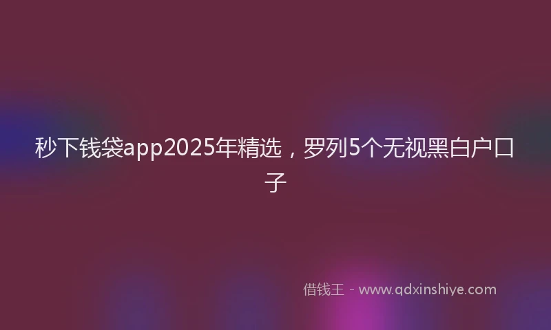 秒下钱袋app2025年精选，罗列5个无视黑白户口子