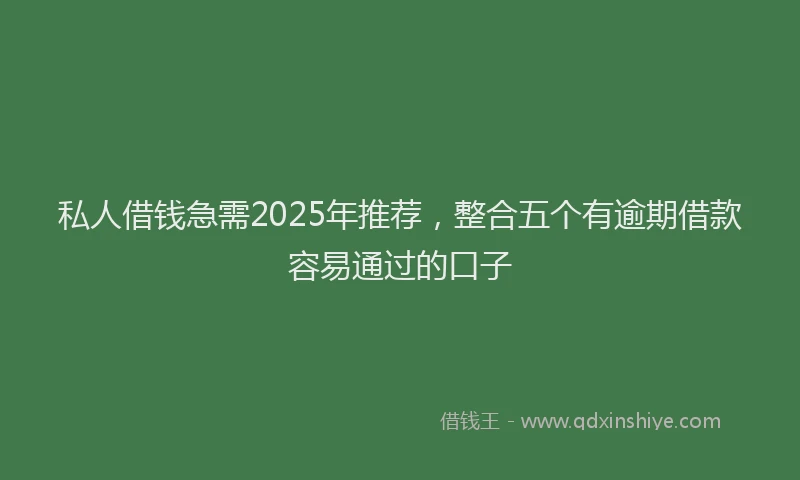 私人借钱急需2025年推荐，整合五个有逾期借款容易通过的口子