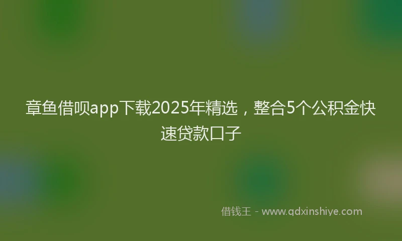 章鱼借呗app下载2025年精选，整合5个公积金快速贷款口子