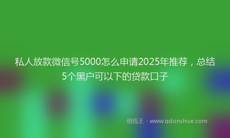 私人放款微信号5000怎么申请2025年推荐，总结5个黑户可以下的贷款口子