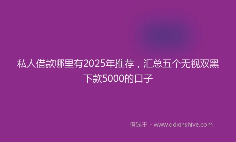 私人借款哪里有2025年推荐，汇总五个无视双黑下款5000的口子