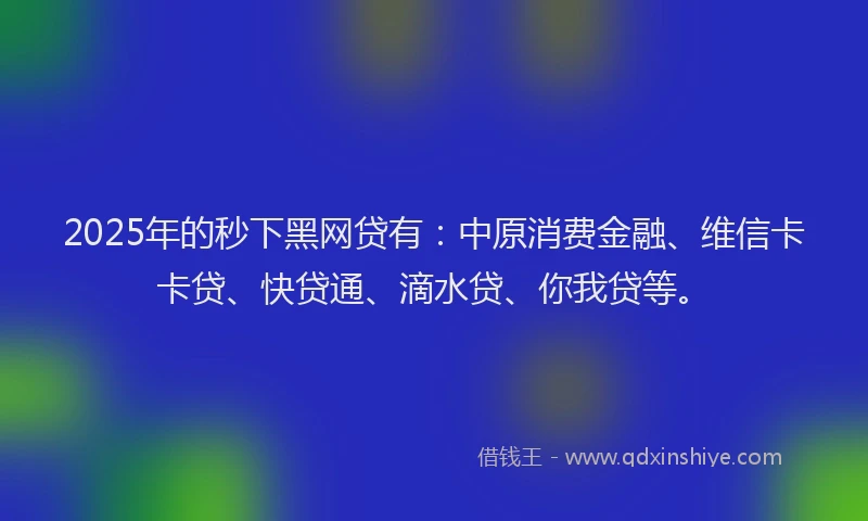 2025年的秒下黑网贷有：中原消费金融、维信卡卡贷、快贷通、滴水贷、你我贷等。