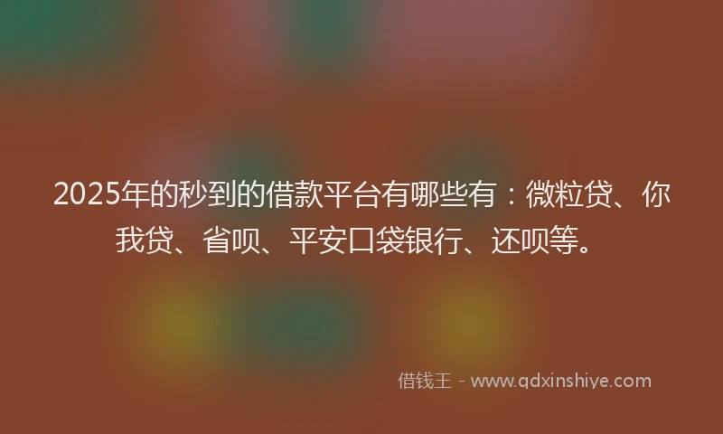 2025年的秒到的借款平台有哪些有：微粒贷、你我贷、省呗、平安口袋银行、还呗等。