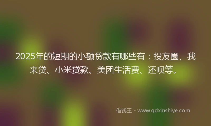 2025年的短期的小额贷款有哪些有：投友圈、我来贷、小米贷款、美团生活费、还呗等。