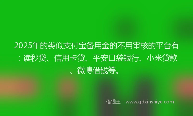 2025年的类似支付宝备用金的不用审核的平台有：读秒贷、信用卡贷、平安口袋银行、小米贷款、微博借钱等。