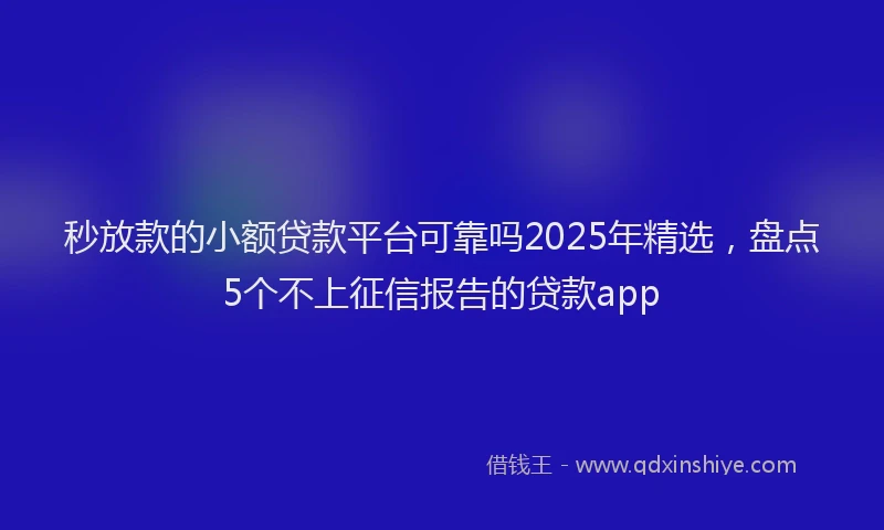 秒放款的小额贷款平台可靠吗2025年精选，盘点5个不上征信报告的贷款app