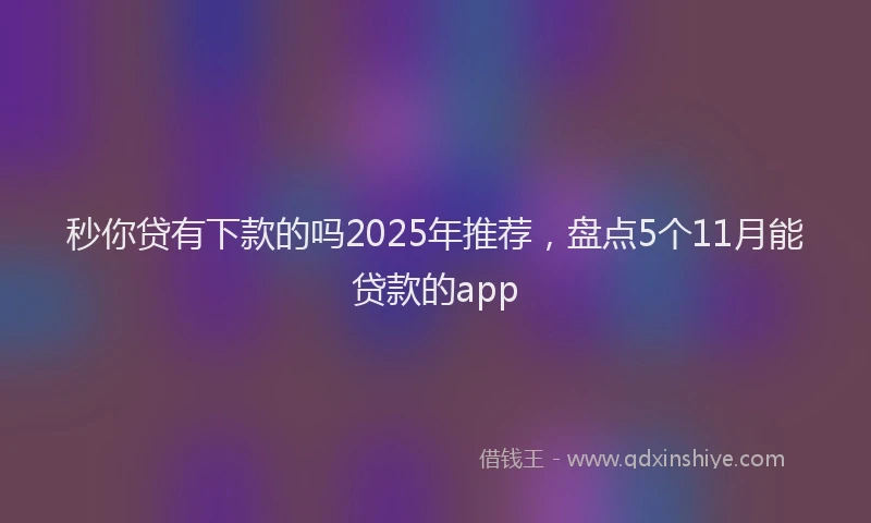 秒你贷有下款的吗2025年推荐，盘点5个11月能贷款的app