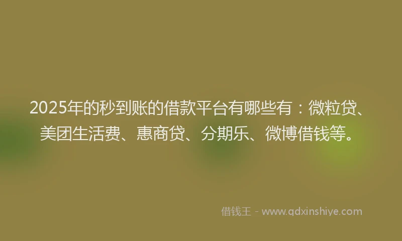 2025年的秒到账的借款平台有哪些有：微粒贷、美团生活费、惠商贷、分期乐、微博借钱等。