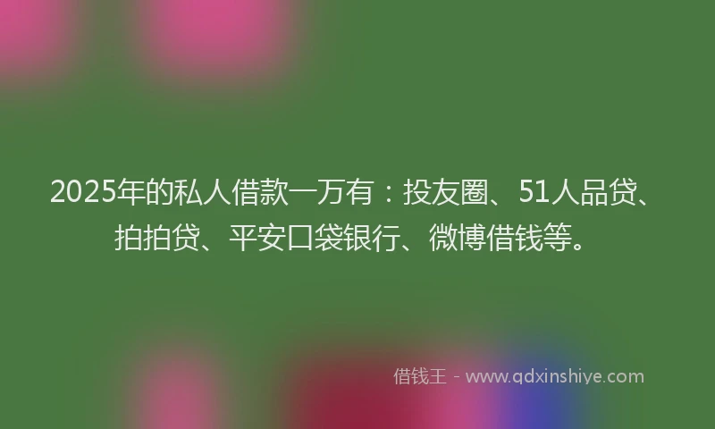 2025年的私人借款一万有：投友圈、51人品贷、拍拍贷、平安口袋银行、微博借钱等。