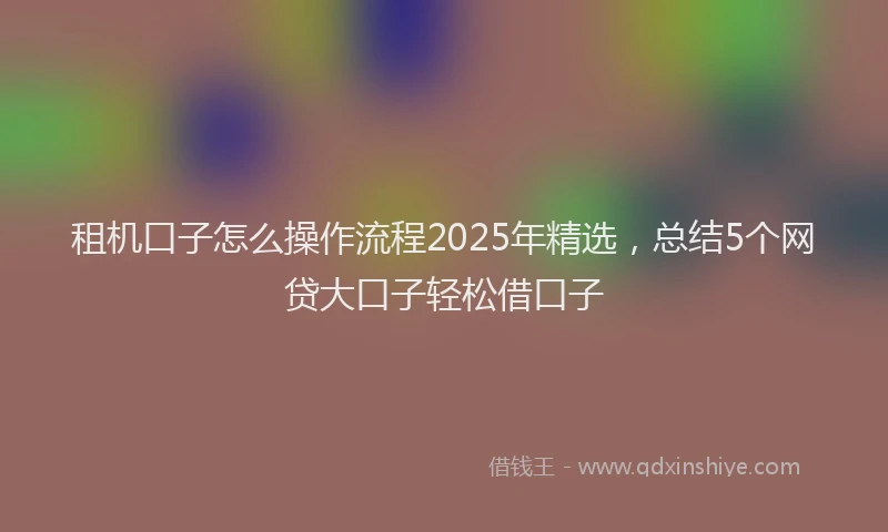 租机口子怎么操作流程2025年精选,总结5个网贷大口子轻松借口子
