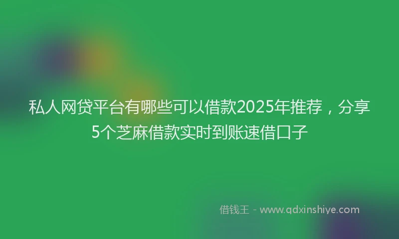 私人网贷平台有哪些可以借款2025年推荐，分享5个芝麻借款实时到账速借口子