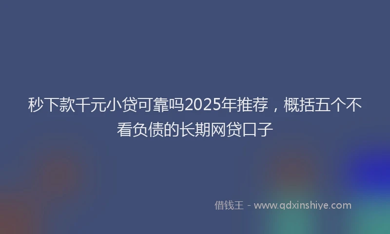 秒下款千元小贷可靠吗2025年推荐，概括五个不看负债的长期网贷口子