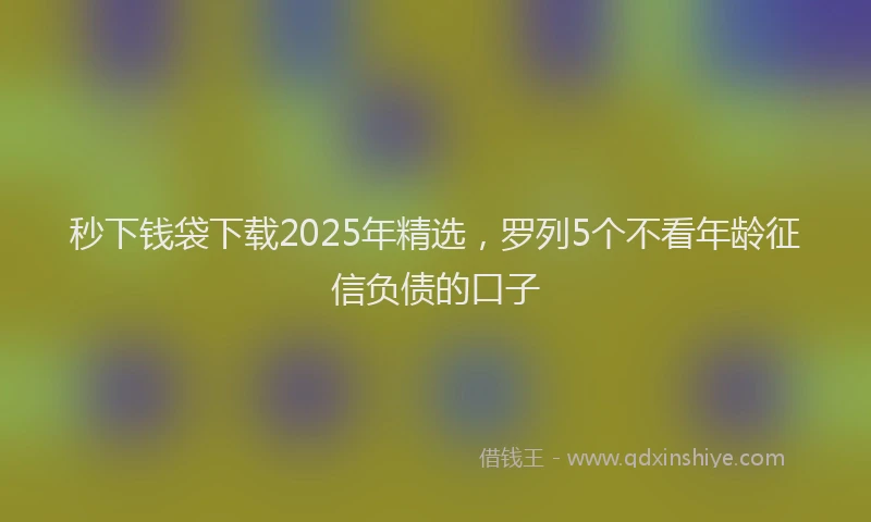 秒下钱袋下载2025年精选，罗列5个不看年龄征信负债的口子