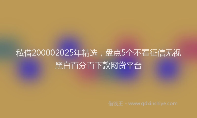 私借200002025年精选，盘点5个不看征信无视黑白百分百下款网贷平台