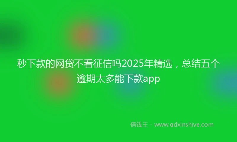 秒下款的网贷不看征信吗2025年精选，总结五个逾期太多能下款app