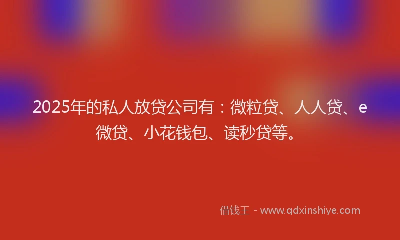 2025年的私人放贷公司有：微粒贷、人人贷、e微贷、小花钱包、读秒贷等。