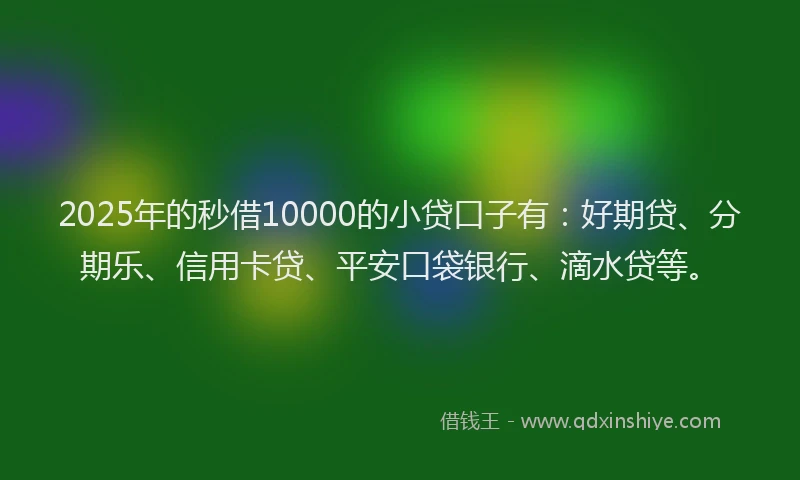 2025年的秒借10000的小贷口子有：好期贷、分期乐、信用卡贷、平安口袋银行、滴水贷等。