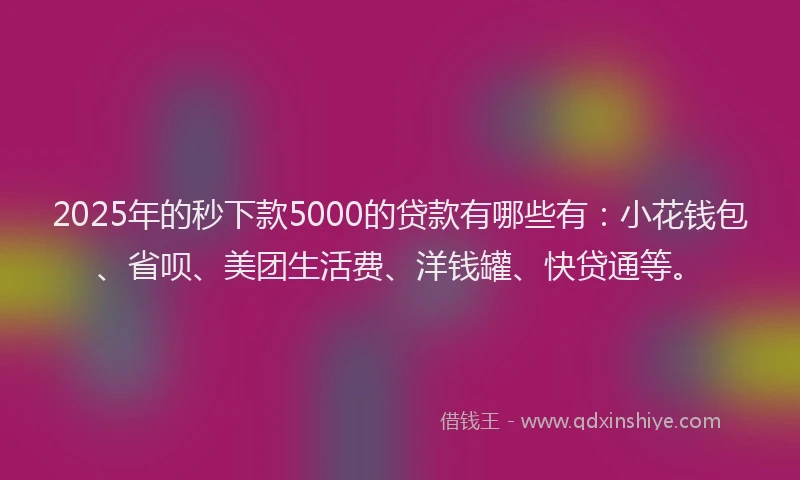 2025年的秒下款5000的贷款有哪些有：小花钱包、省呗、美团生活费、洋钱罐、快贷通等。