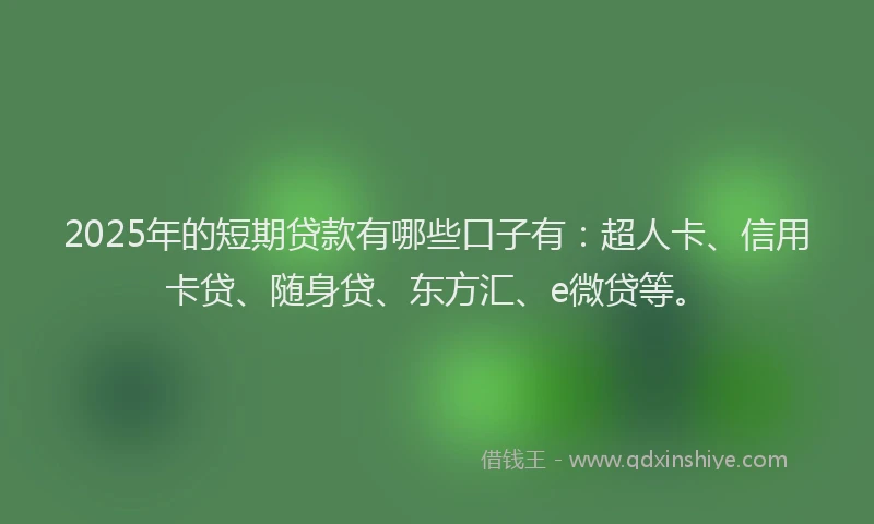2025年的短期贷款有哪些口子有：超人卡、信用卡贷、随身贷、东方汇、e微贷等。