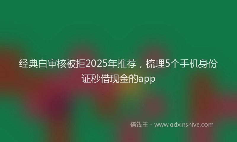 经典白审核被拒2025年推荐，梳理5个手机身份证秒借现金的app