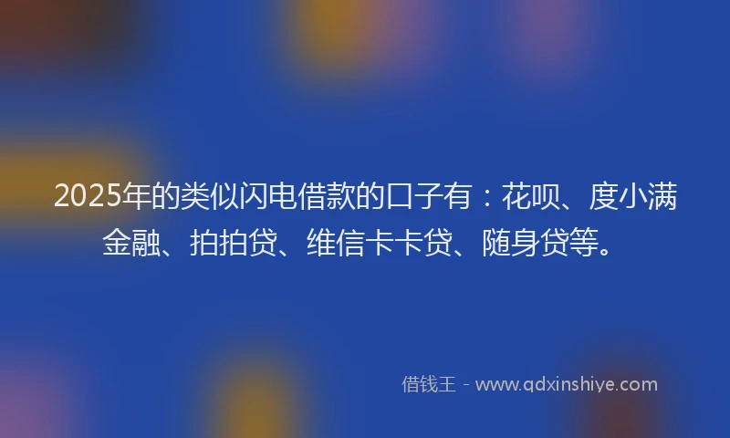 2025年的类似闪电借款的口子有：花呗、度小满金融、拍拍贷、维信卡卡贷、随身贷等。