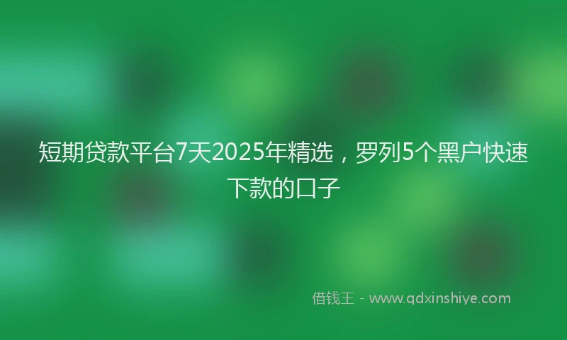 短期贷款平台7天2025年精选，罗列5个黑户快速下款的口子