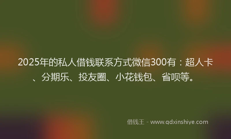 2025年的私人借钱联系方式微信300有：超人卡、分期乐、投友圈、小花钱包、省呗等。