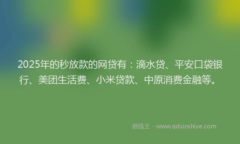 2025年的秒放款的网贷有：滴水贷、平安口袋银行、美团生活费、小米贷款、中原消费金融等。