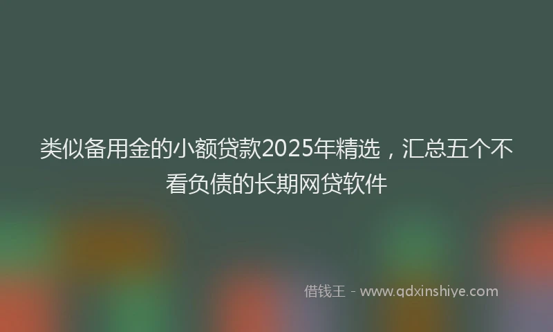 类似备用金的小额贷款2025年精选，汇总五个不看负债的长期网贷软件