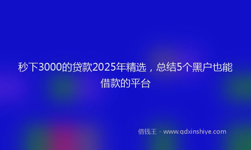 秒下3000的贷款2025年精选，总结5个黑户也能借款的平台