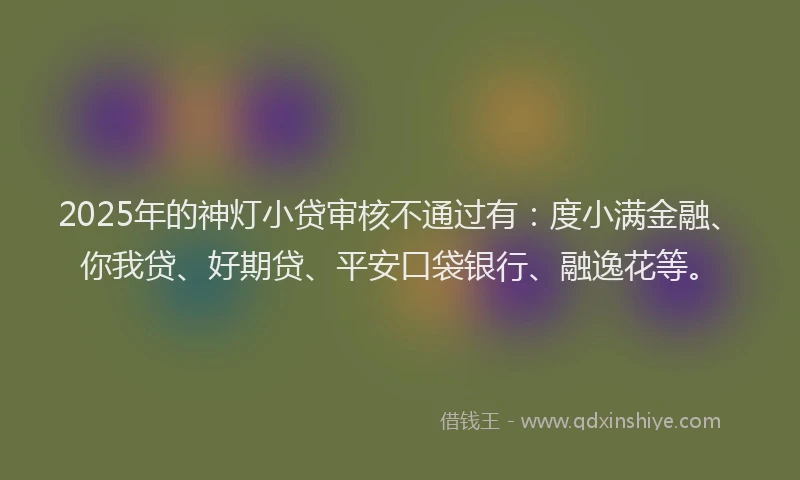 2025年的神灯小贷审核不通过有：度小满金融、你我贷、好期贷、平安口袋银行、融逸花等。