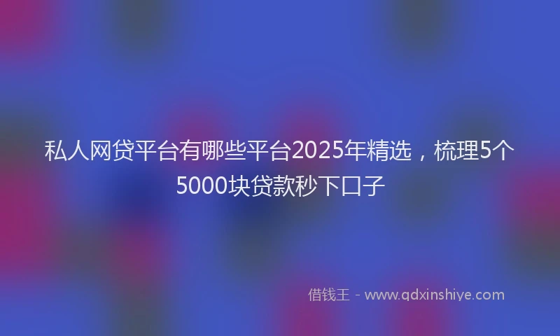私人网贷平台有哪些平台2025年精选，梳理5个5000块贷款秒下口子