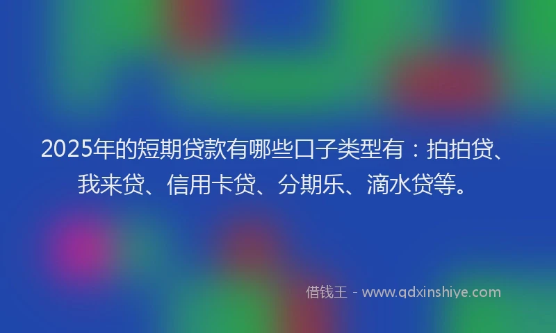 2025年的短期贷款有哪些口子类型有：拍拍贷、我来贷、信用卡贷、分期乐、滴水贷等。