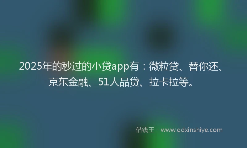 2025年的秒过的小贷app有：微粒贷、替你还、京东金融、51人品贷、拉卡拉等。