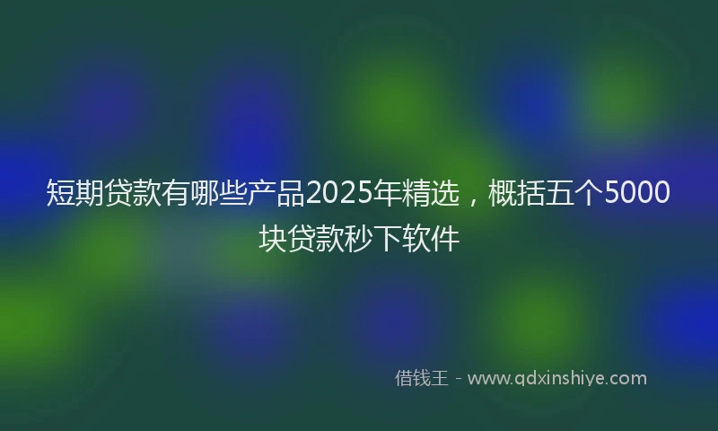 短期贷款有哪些产品2025年精选，概括五个5000块贷款秒下软件