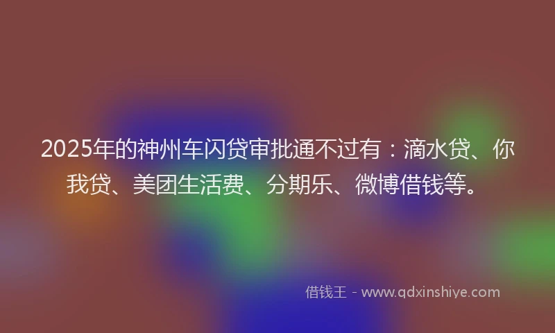 2025年的神州车闪贷审批通不过有：滴水贷、你我贷、美团生活费、分期乐、微博借钱等。