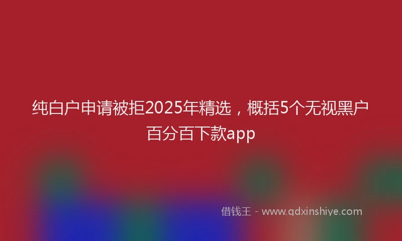 纯白户申请被拒2025年精选，概括5个无视黑户百分百下款app