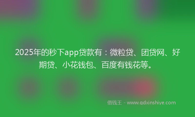 2025年的秒下app贷款有：微粒贷、团贷网、好期贷、小花钱包、百度有钱花等。
