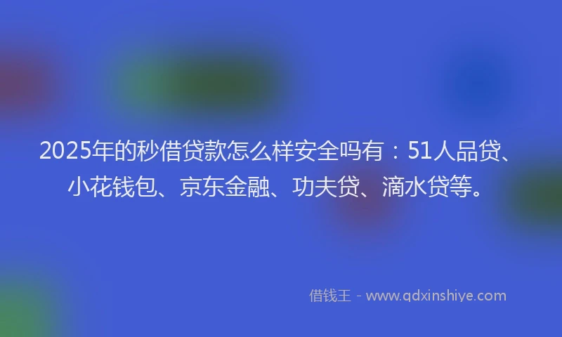 2025年的秒借贷款怎么样安全吗有：51人品贷、小花钱包、京东金融、功夫贷、滴水贷等。