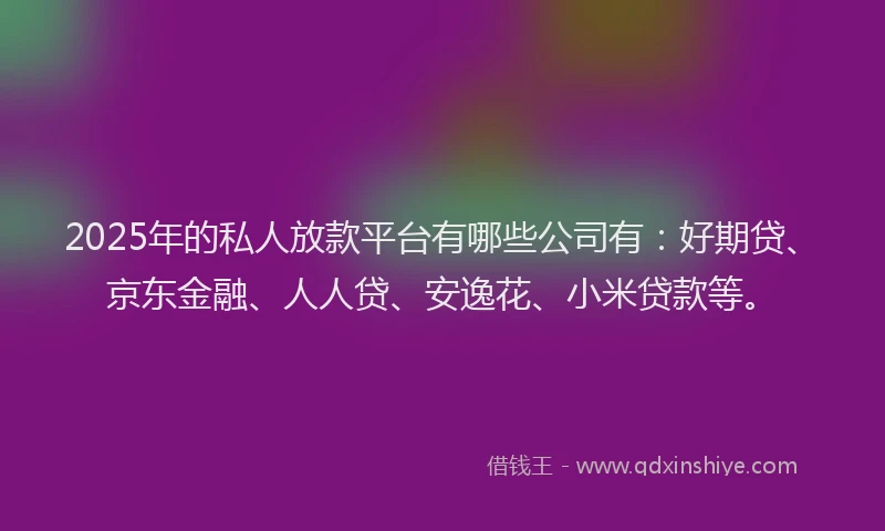 2025年的私人放款平台有哪些公司有：好期贷、京东金融、人人贷、安逸花、小米贷款等。