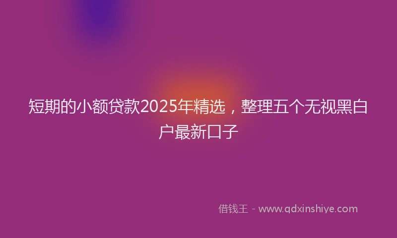 短期的小额贷款2025年精选，整理五个无视黑白户最新口子