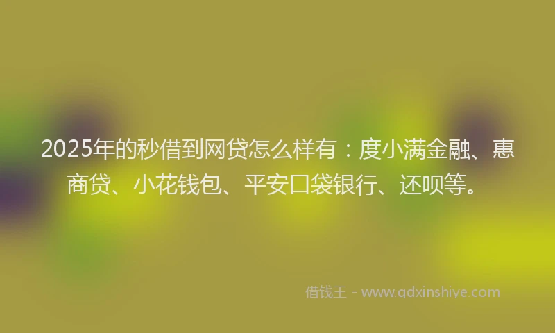 2025年的秒借到网贷怎么样有：度小满金融、惠商贷、小花钱包、平安口袋银行、还呗等。