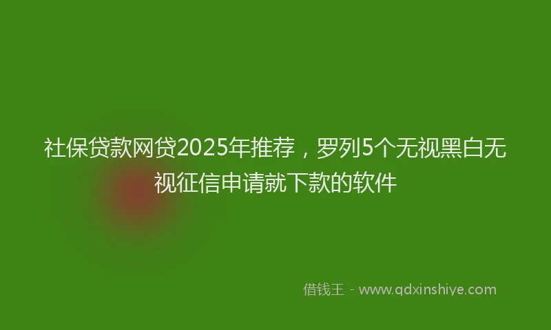 社保贷款网贷2025年推荐，罗列5个无视黑白无视征信申请就下款的软件