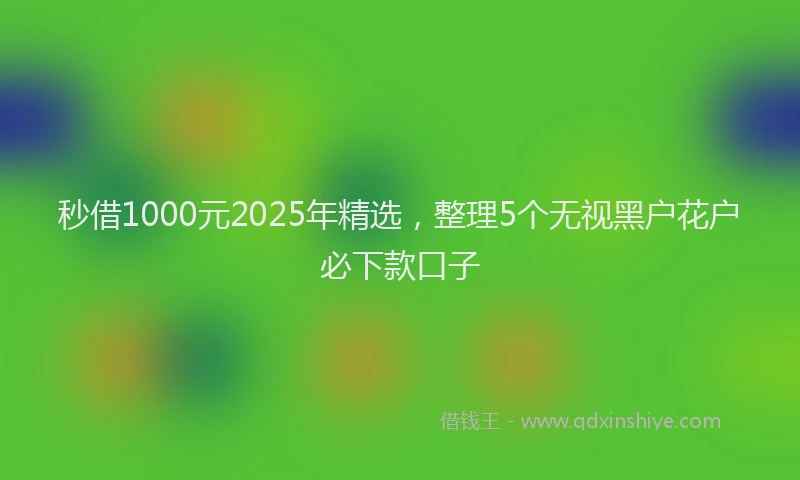 秒借1000元2025年精选，整理5个无视黑户花户必下款口子