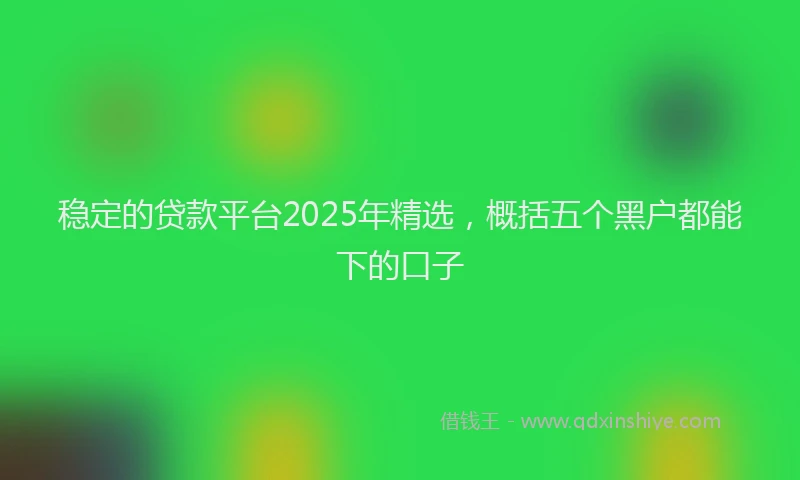 稳定的贷款平台2025年精选，概括五个黑户都能下的口子