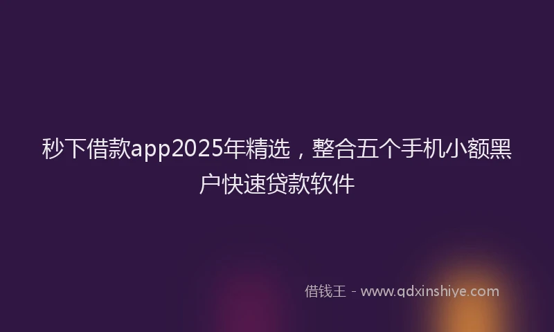 秒下借款app2025年精选，整合五个手机小额黑户快速贷款软件