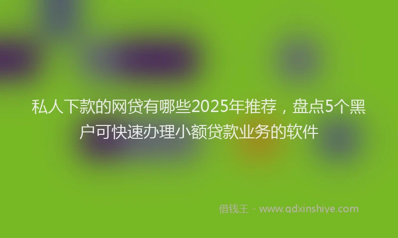 私人下款的网贷有哪些2025年推荐，盘点5个黑户可快速办理小额贷款业务的软件