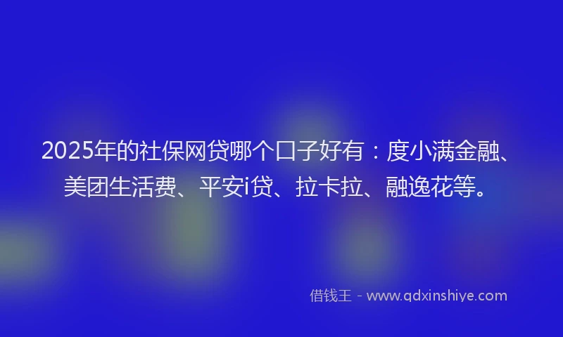 2025年的社保网贷哪个口子好有：度小满金融、美团生活费、平安i贷、拉卡拉、融逸花等。