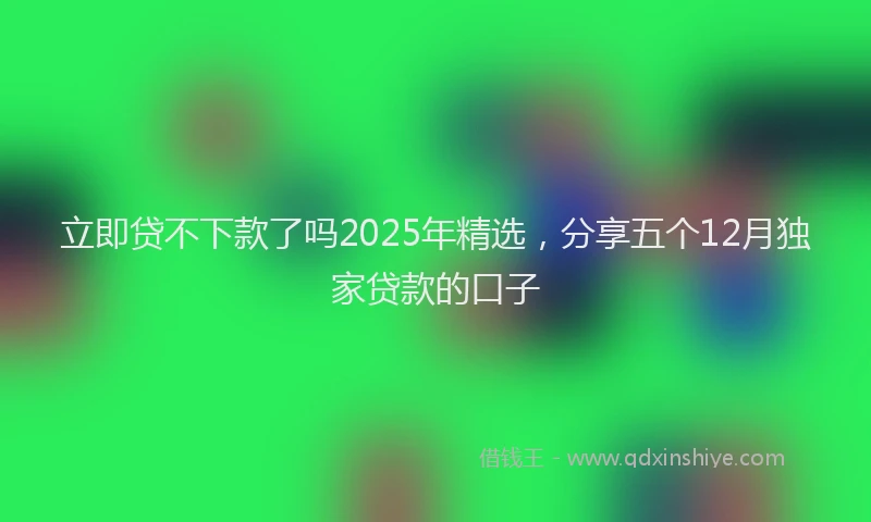 立即贷不下款了吗2025年精选，分享五个12月独家贷款的口子
